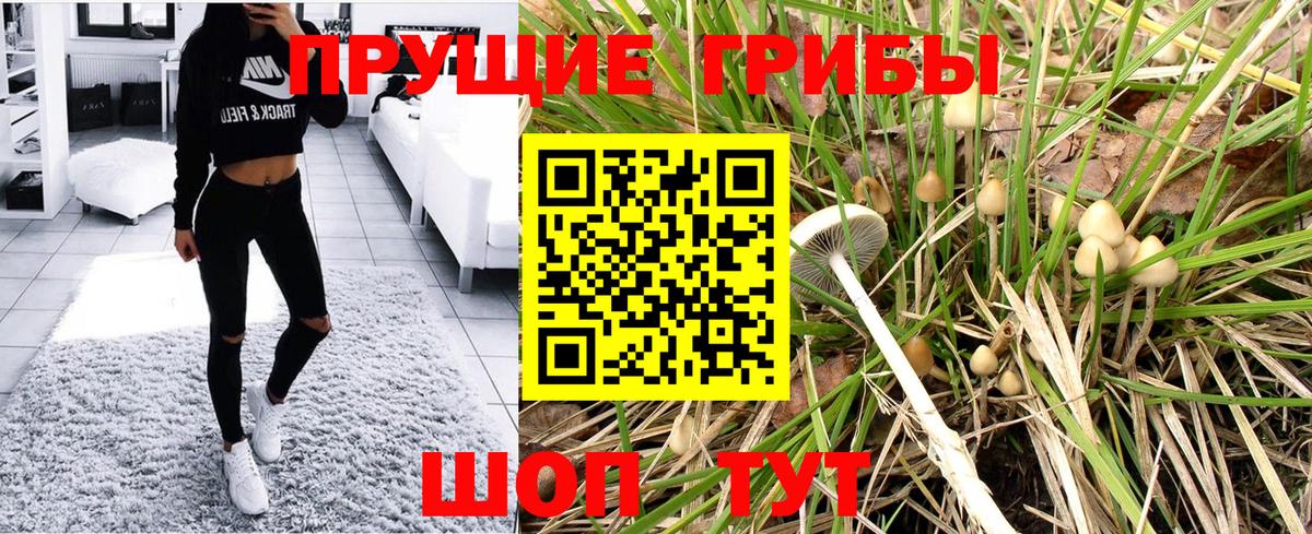 Галлюциногенные грибы мицелий  Вход с VPN  Борзя 