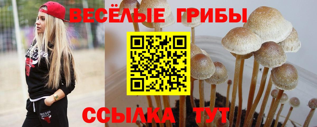 Псилоцибиновые грибы ЛСД Борзя